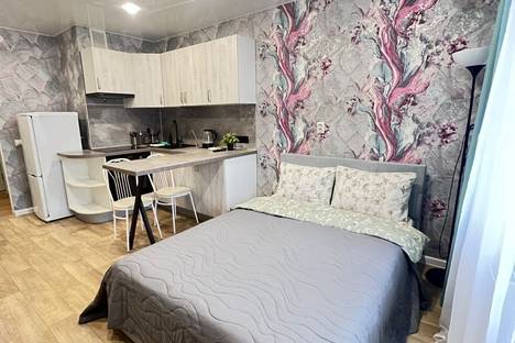 1-комнатная квартира в Мурино, Петровский б-р, 3к2, м. Девяткино