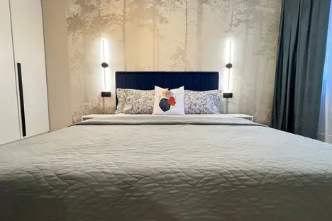 2-комнатная квартира в Санкт-Петербурге, Пискарёвский пр-кт, 9к2