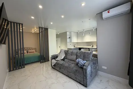 1-комнатная квартира в Уссурийске, ул. Александра Францева, 42