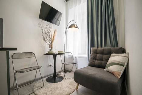 1-комнатная квартира в Санкт-Петербурге, Конная ул., 19