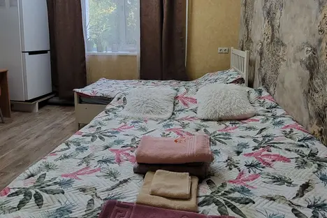 1-комнатная квартира в Екатеринбурге, Екатеринбург, Атмосферная ул., 5