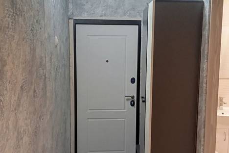 2-комнатная квартира в Казани, Казань, ул. Рихарда Зорге, 9