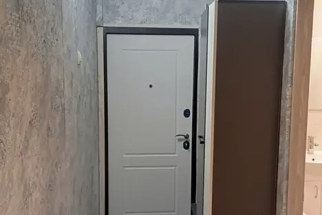 2-комнатная квартира в Казани, ул. Рихарда Зорге, 9