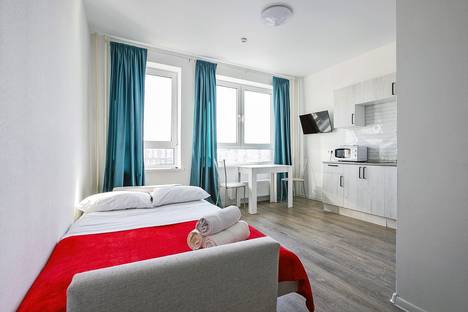 Однокомнатная квартира в аренду посуточно в Путилково по адресу Просторная ул., 16