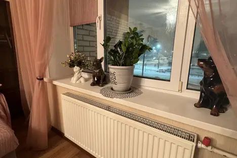 1-комнатная квартира в Санкт-Петербурге, Гаккелевская ул., 33к1