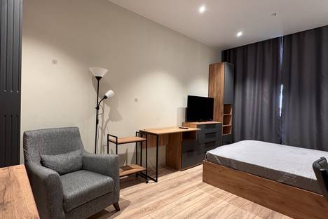 1-комнатная квартира в Санкт-Петербурге, Санкт-Петербург, пр-кт Энергетиков, 8к2