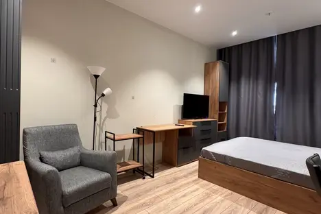 1-комнатная квартира в Санкт-Петербурге, пр-кт Энергетиков, 8к2