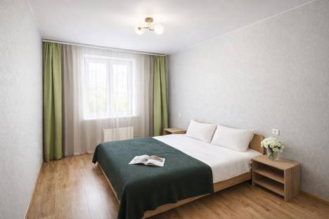 1-комнатная квартира в Красноярске, Красноярск, ул. Дубровинского, 110В