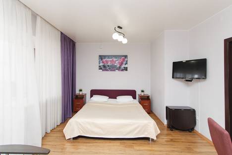 Однокомнатная квартира в аренду посуточно в Тюмени по адресу Мельничная ул., 83к4