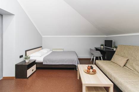 Однокомнатная квартира в аренду посуточно в Тюмени по адресу ул. Крупской, 17