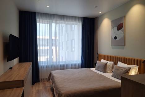 Однокомнатная квартира в аренду посуточно в Санкт-Петербурге по адресу пр-кт Энергетиков, 8к2