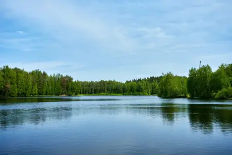 1-комнатная квартира в Ленинградской области, д. Юкки