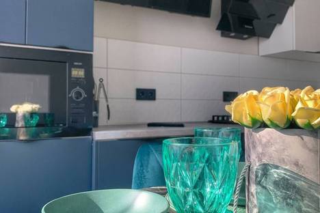 1-комнатная квартира в Пионерском, Прибрежная ул., 21к1