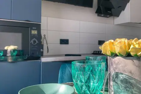 1-комнатная квартира в Пионерском, Прибрежная ул., 21к1