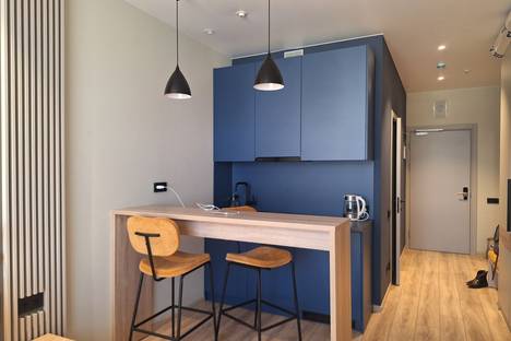 1-комнатная квартира в Санкт-Петербурге, пр-кт Энергетиков, 8к2