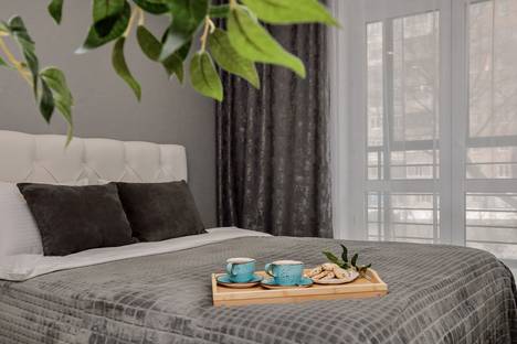 1-комнатная квартира в Ижевске, ул. Максима Горького, 149