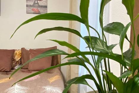 1-комнатная квартира в Балашихе, Балашиха, Реутовская ул., 29