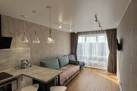 1-комнатная квартира в Ижевске, ул. Холмогорова, 113