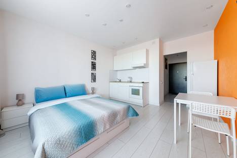 1-комнатная квартира в Санкт-Петербурге, Дизельный пр-д, 11к2