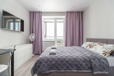 1-комнатная квартира в Санкт-Петербурге, Дизельный пр-д, 11к1