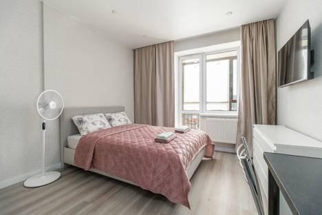 1-комнатная квартира в Санкт-Петербурге, Дизельный пр-д, 11к1