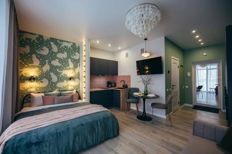 1-комнатная квартира в Калининграде, ул. Старшины Дадаева, 55к2