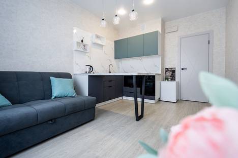 Однокомнатная квартира в аренду посуточно в Новосибирске по адресу ул. Забалуева, 3/1