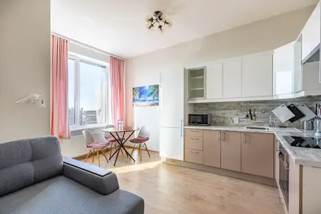 1-комнатная квартира в Санкт-Петербурге, Новолитовская ул., 14