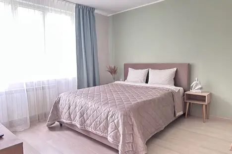 1-комнатная квартира в Санкт-Петербурге, ул. Коллонтай, 27к5с1