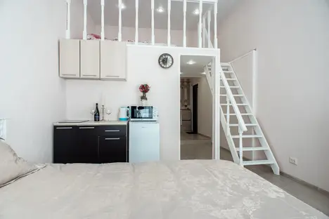 1-комнатная квартира в Санкт-Петербурге, Санкт-Петербург, Центральный р-н , ул. Ломоносова, 26