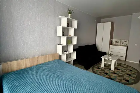 1-комнатная квартира в Ишиме, ул. Карла Маркса, 77В