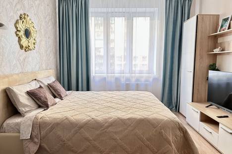 1-комнатная квартира в Санкт-Петербурге, Дизельный пр-д, 11к3