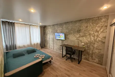 1-комнатная квартира в Кингисеппе, ул. Жукова, 12А