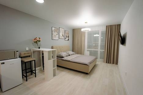 Однокомнатная квартира в аренду посуточно в Курске по адресу ул. Энгельса, 115/4