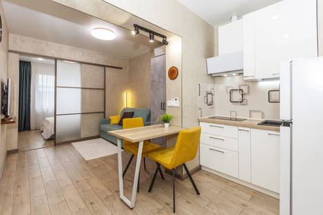 Однокомнатная квартира в аренду посуточно в Адлере по адресу ул. Ленина, 298Бк5