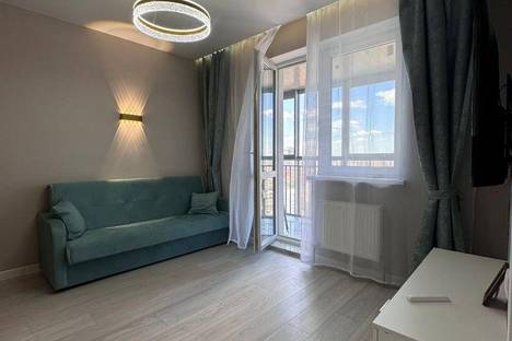 1-комнатная квартира в Казани, ул. Абдуллы Бичурина, 13