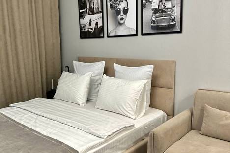 1-комнатная квартира в Санкт-Петербурге, Арцеуловская ал., 19