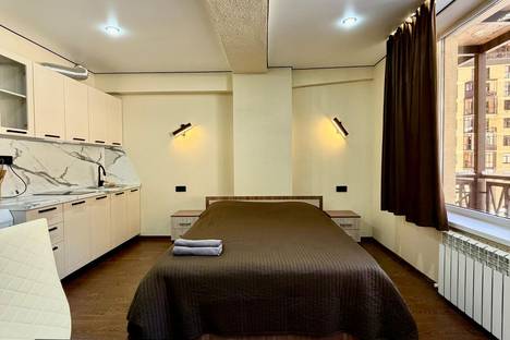 1-комнатная квартира в Домбае, Альпийский пер., 6