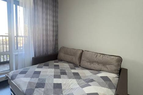 1-комнатная квартира в Санкт-Петербурге, Арцеуловская ал., 17