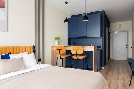 1-комнатная квартира в Санкт-Петербурге, пр-кт Энергетиков, 8к2