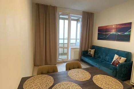 1-комнатная квартира в Санкт-Петербурге, Арцеуловская ал., 21