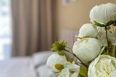 1-комнатная квартира в Курске, ул. Энгельса, 115А/3