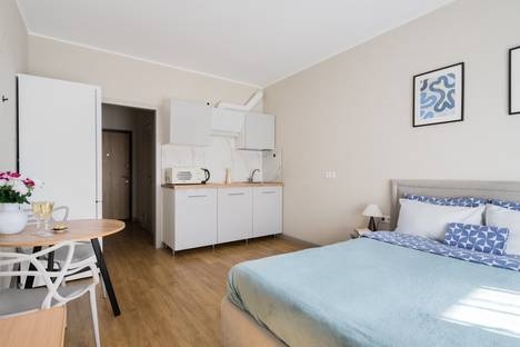 1-комнатная квартира в Санкт-Петербурге, Ипподромный пер., 1к1