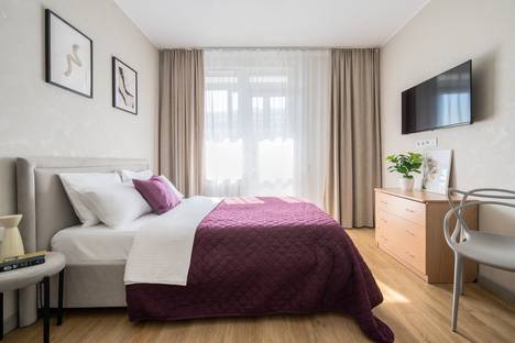 1-комнатная квартира в Санкт-Петербурге, Ипподромный пер., 1к1