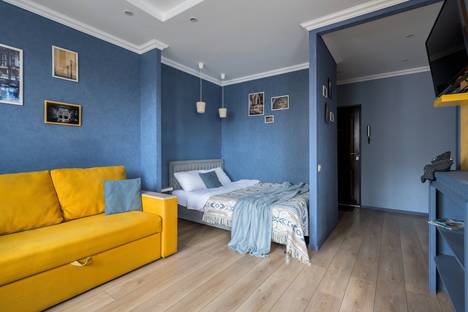 1-комнатная квартира в Санкт-Петербурге, пр-кт Просвещения, 36/141