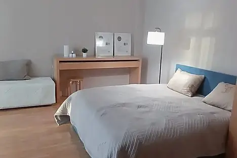 1-комнатная квартира в Екатеринбурге, ул. Фурманова, 103