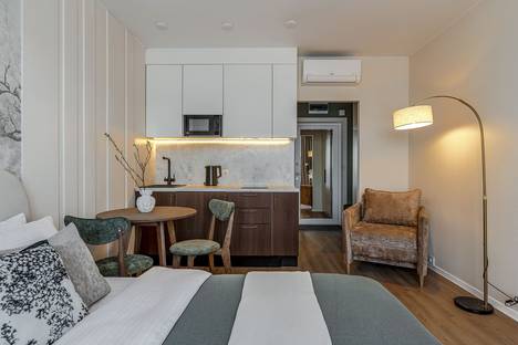 Однокомнатная квартира в аренду посуточно в Санкт-Петербурге по адресу Лиговский пр-кт, 244