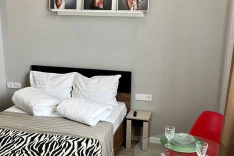 1-комнатная квартира в Сочи, Клубничная ул., 1/17