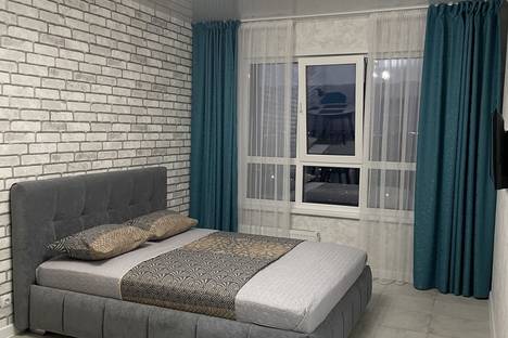 1-комнатная квартира в Барнауле, Власихинская ул., 65Ак2