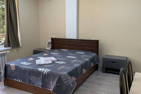 1-комнатная квартира в Домбае, Домбай, Альпийский пер., 6